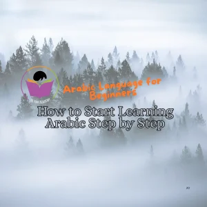 Is Arabic Hard to Learn?